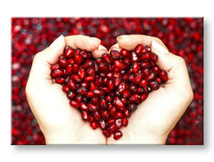 XOBIN004E11-100x150-24h-1.jpg