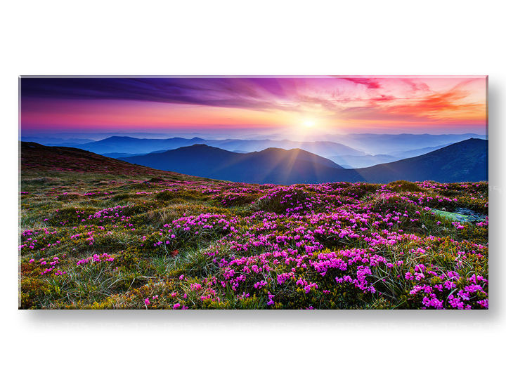 Moderný obraz na plátne s motívom PANORÁMA KRAJINA, hory, slnko, obloha v fialovo-modrých odtieňoch, pokojná atmosféra, príroda a jarná atmosféra – produkt