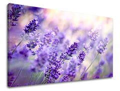 XOBKV070E11-40x60-24h.jpg