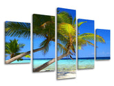 XOBPL011E50-150x100-24h.jpg