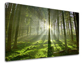 XOBST021E11-60x90-24h.jpg