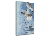 Obraz na plátne ČAJKY | rôzne rozmery