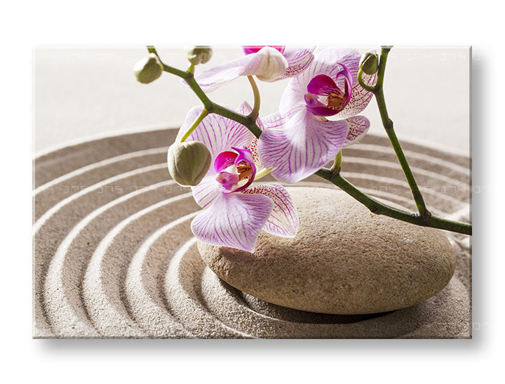Obraz na plátne s motívom FENG SHUI, orchidea, zenová záhrada, kvety, mapa v béžovo-ružových odtieňoch, pokojná atmosféra, vhodný do obývačky – hlavný
