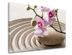 Obraz na plátne s motívom FENG SHUI, orchidea, zenová záhrada, kvety, mapa v béžovo-ružových odtieňoch, pokojná atmosféra, vhodný do obývačky – produkt