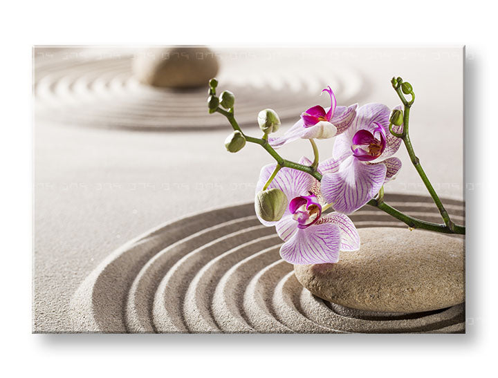 Klasický obraz na plátne s motívom FENG SHUI, orchidea, zenová záhrada, architektúra, detský motív v ružových odtieňoch, pokojná atmosféra, vhodný do obývačky – hlavný