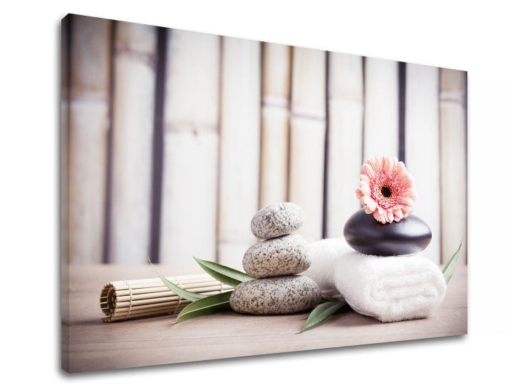 Klasický obraz s motívom FENG SHUI, bambus, kvety v béžovo-ružových odtieňoch | Obraz na plátne FENG SHUI_053-11, príroda – náhľad