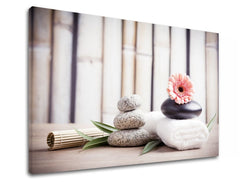 Klasický obraz s motívom FENG SHUI, bambus, kvety v béžovo-ružových odtieňoch | Obraz na plátne FENG SHUI_053-11, príroda – náhľad