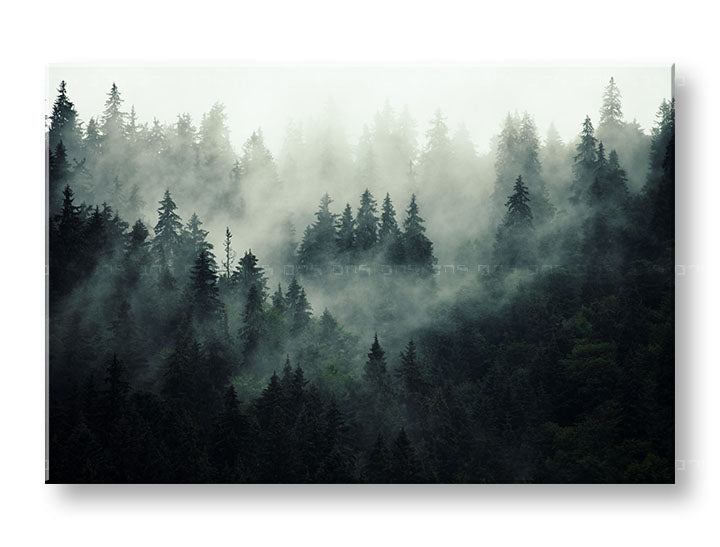 Klasický obraz na plátne s motívom HORY, hmla, opar, krajina, mapa v bielo-sivých odtieňoch, slávnostná atmosféra, príroda a samota, vhodný do kancelárie – hlavný