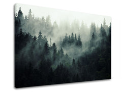 Klasický obraz na plátne s motívom HORY, hmla, opar, krajina, mapa v bielo-sivých odtieňoch, slávnostná atmosféra, príroda a samota, vhodný do kancelárie – produkt