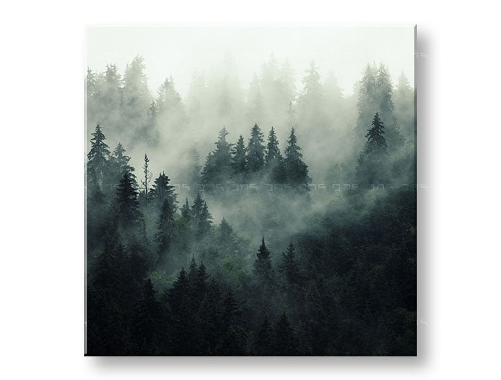 Klasický obraz na plátne s motívom HORY, hmla, opar, les, krajina v bielo-sivých odtieňoch, pokojná atmosféra, príroda a samota, vhodný do kancelárie – hlavný