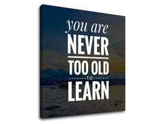 Moderný obraz s motívom You are never too old, oceán, hory v bielych odtieňoch | Motivačný obraz na stenu You are never too old, príroda a múdrosť – náhľad