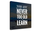 Moderný obraz na plátne s motívom You are never too old, oceán, hory, obloha, pláž v bielych odtieňoch, príroda a múdrosť, vhodný do kancelárie – produkt