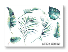 Obraz na plátne s motívom príroda v bielo-modrých odtieňoch, svieža atmosféra, príroda a tropický raj, vhodný do kancelárie | Obraz na stenu s textom Watercolor exotic plants – hlavný