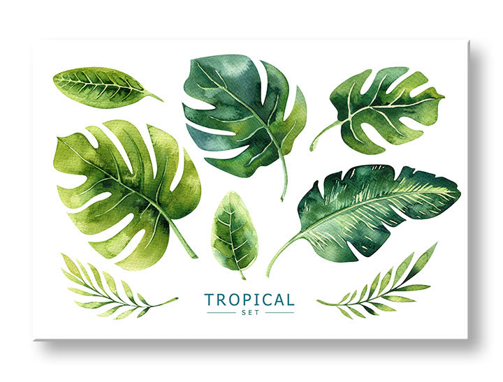 Obraz na plátne s motívom príroda v bielo-zelených odtieňoch, svieža atmosféra, príroda a tropický raj, vhodný do kancelárie | Obraz na stenu s textom Tropical set – hlavný