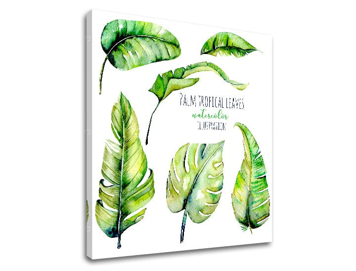 Moderný obraz s motívom príroda v bielo-zelených odtieňoch | Obraz na stenu s textom Palm tropical leaves, príroda a tropický raj – náhľad