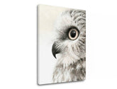Obraz na plátne SOVÍ POHĽAD | rôzne rozmery