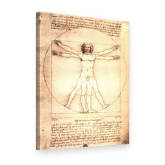 Obraz Vitruviánsky muž – Leonardo da Vinci na plátne, 3D pohľad