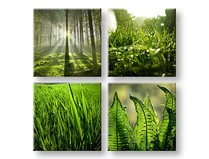 V boho štýle obraz na plátne s motívom Sunrise of Nature, les, krajina, mapa, príroda v zelených odtieňoch, pokojná atmosféra, viacdielné prevedenie – hlavný