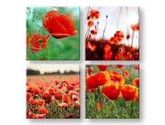 Kolážový obraz s motívom Meadow of poppy poppies, maky, kvety v zeleno-červených odtieňoch | Obraz na stenu Meadow of poppy poppies, jarná atmosféra a rast a rozvoj – náhľad