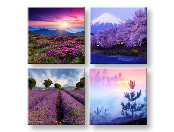 Kolážový obraz s motívom Everywhere purple, hory, kvety v fialovo-ružových odtieňoch | Obraz na stenu Everywhere purple, príroda a jarná atmosféra – náhľad