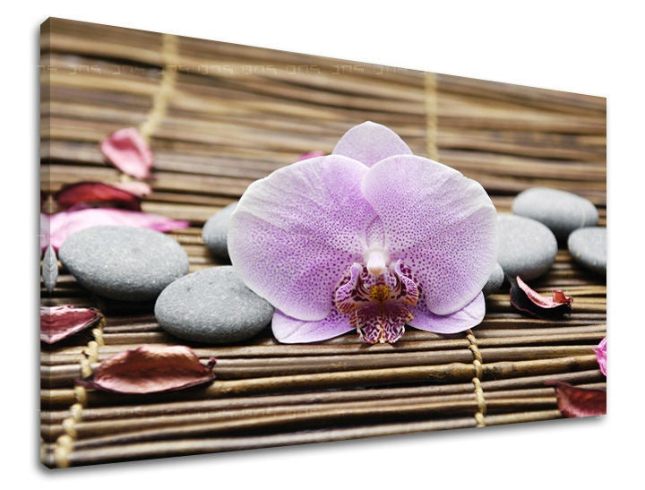 Klasický obraz na plátne s motívom FENG SHUI, orchidea, kvety, príroda v hnedo-ružových odtieňoch, pokojná atmosféra, príroda, vhodný do obývačky – hlavný