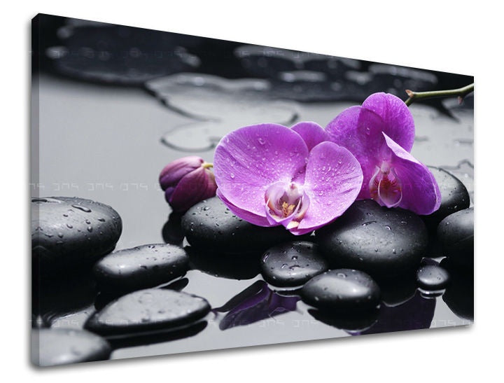 Klasický obraz na plátne s motívom FENG SHUI, orchidea, kvety, príroda v fialovo-čiernych odtieňoch, pokojná atmosféra, príroda a minimalizmus – hlavný