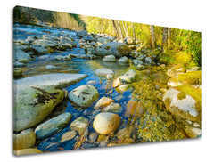 Klasický obraz na plátne s motívom stromy, les, krajina, mapa, príroda v modro-zelených odtieňoch, pokojná atmosféra, príroda, vhodný do obývačky – hlavný