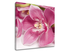 Geometrický obraz na plátne s motívom orchidea, kvety, príroda v bielo-ružových odtieňoch, elegantná atmosféra, príroda a elegancia, vhodný do spálne – hlavný
