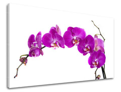 Moderný obraz na plátne s motívom orchidea, kvety v zeleno-žltých odtieňoch, elegantná atmosféra, príroda a jarná atmosféra | Obraz na stenu KVETY – hlavný