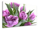 Obraz na stenu KVETY TULIPÁNY | rôzne rozmery
