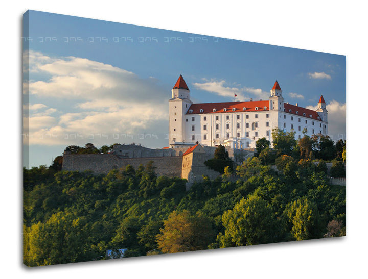 Obraz na plátne s motívom SLOVENSKO, hrad, stromy, obloha, oblaky v bielo-modrých odtieňoch, pokojná atmosféra, vhodný do kancelárie – hlavný