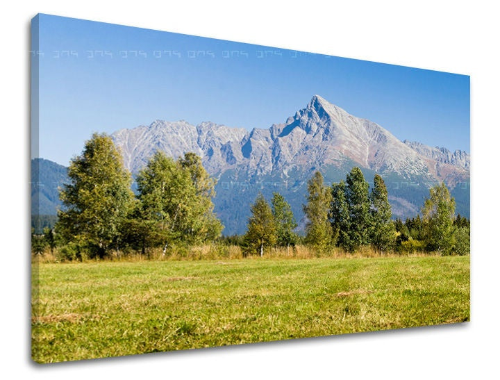 Obraz na plátne s motívom SLOVENSKO, hora, stromy, obloha, pole v modro-zelených odtieňoch, pokojná atmosféra, príroda, vhodný do kancelárie – hlavný