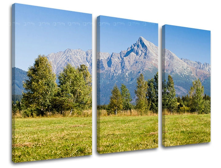 Klasický obraz na plátne s motívom SLOVENSKO, les, lúka, obloha, krajina v modro-sivých odtieňoch, pokojná atmosféra, príroda, trojdielné prevedenie – hlavný