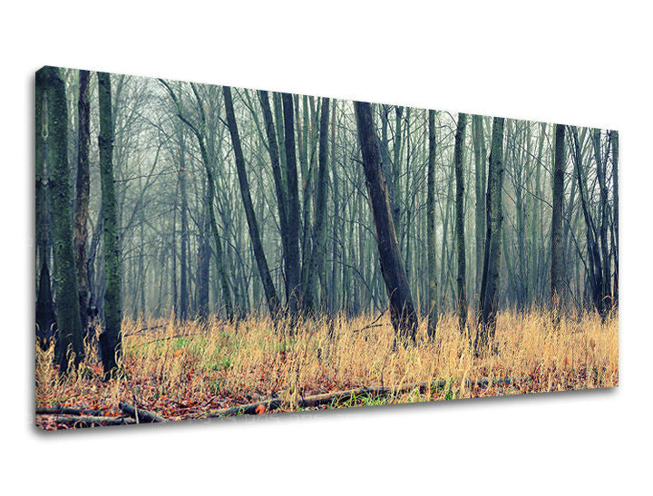 Obraz na plátne s motívom PANORÁMA STROMY, stromy, les, hmla, krajina v hnedo-sivých odtieňoch, pokojná atmosféra, príroda a samota – hlavný