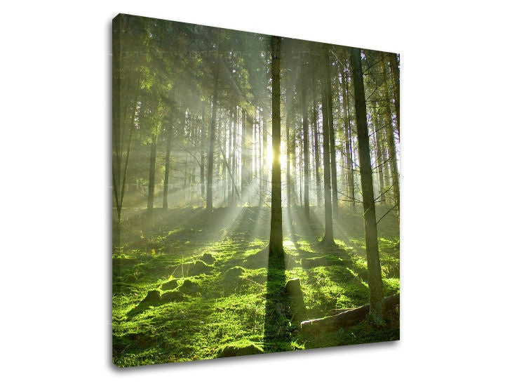 Klasický obraz na plátne s motívom les, stromy, krajina, mapa, príroda v zeleno-žltých odtieňoch, pokojná atmosféra, príroda a symbol obnovy – hlavný