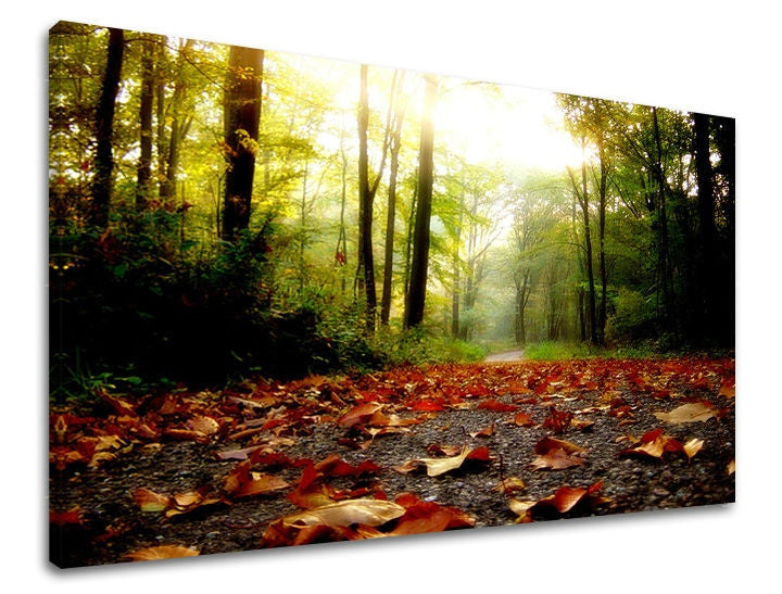 Obraz na plátne s motívom stromy, krajina, mapa, príroda v oranžovo-zelených odtieňoch, pokojná atmosféra, príroda a samota, vhodný do chodby – hlavný