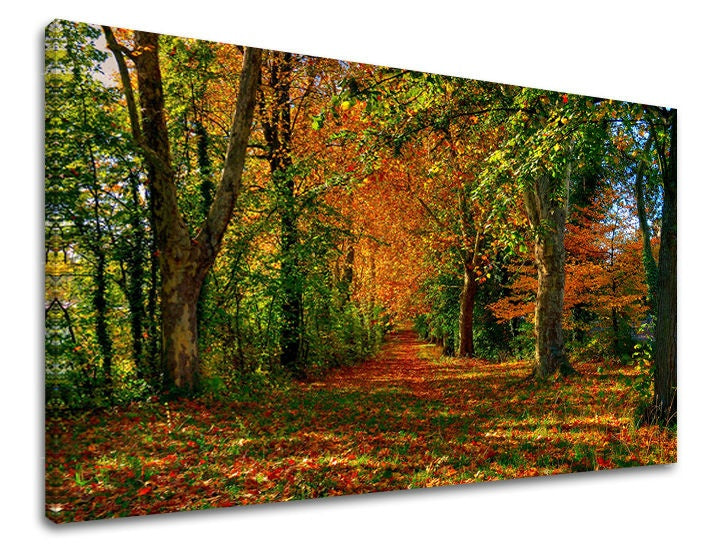Klasický obraz na plátne s motívom stromy, obloha, krajina, mapa, príroda v hnedo-oranžových odtieňoch, pokojná atmosféra, príroda a samota, vhodný do chodby – hlavný