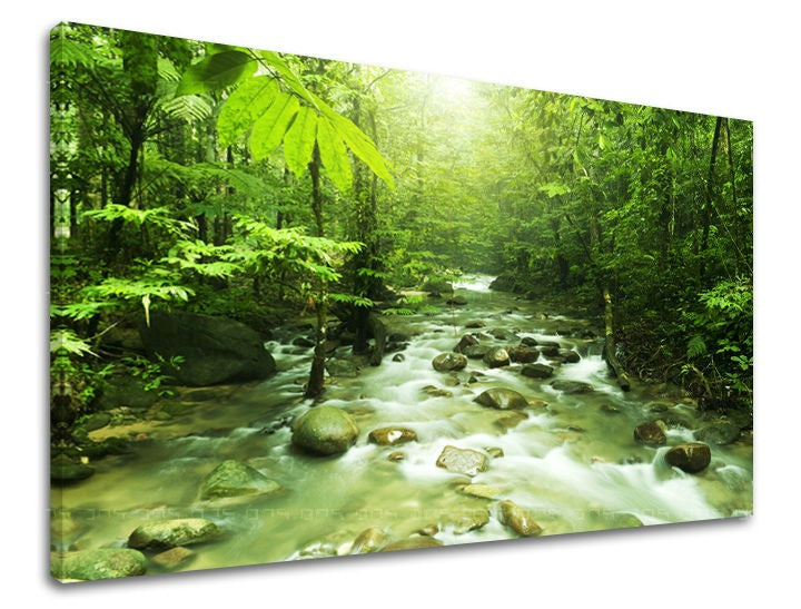 Klasický obraz na plátne s motívom les, krajina, mapa, príroda, stromy v zelených odtieňoch, pokojná atmosféra, príroda a rast a rozvoj, vhodný do obývačky – hlavný