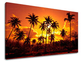 Obraz na stenu ZÁPAD SLNKA | rôzne rozmery