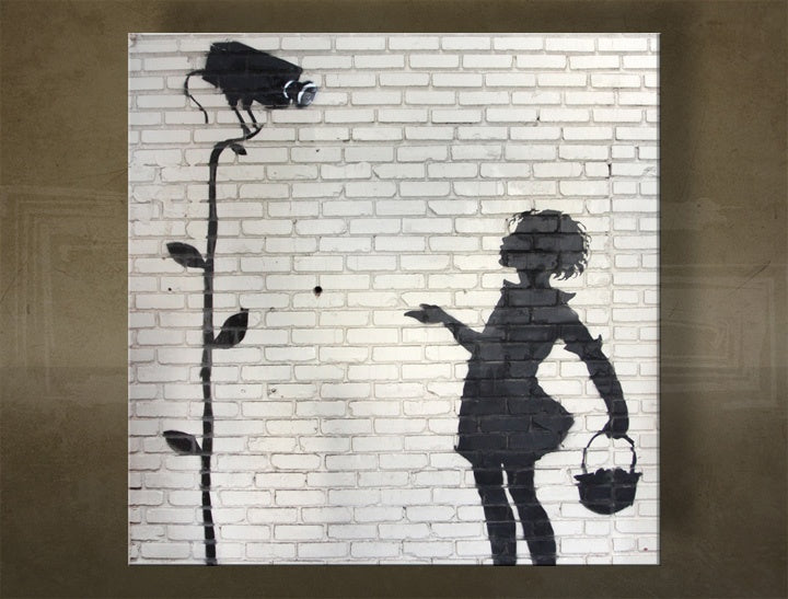 Klasický obraz na plátne s motívom Street ART – Banksy, kvety, príroda v bielo-sivých odtieňoch, vhodný do kancelárie | Obraz na plátne Street ART – Banksy – hlavný