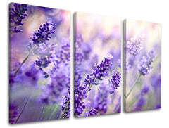 Pittura murale in 3 parti FIORI