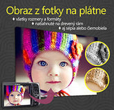 Obraz z fotografie - ŠTVOREC- rôzne rozmery