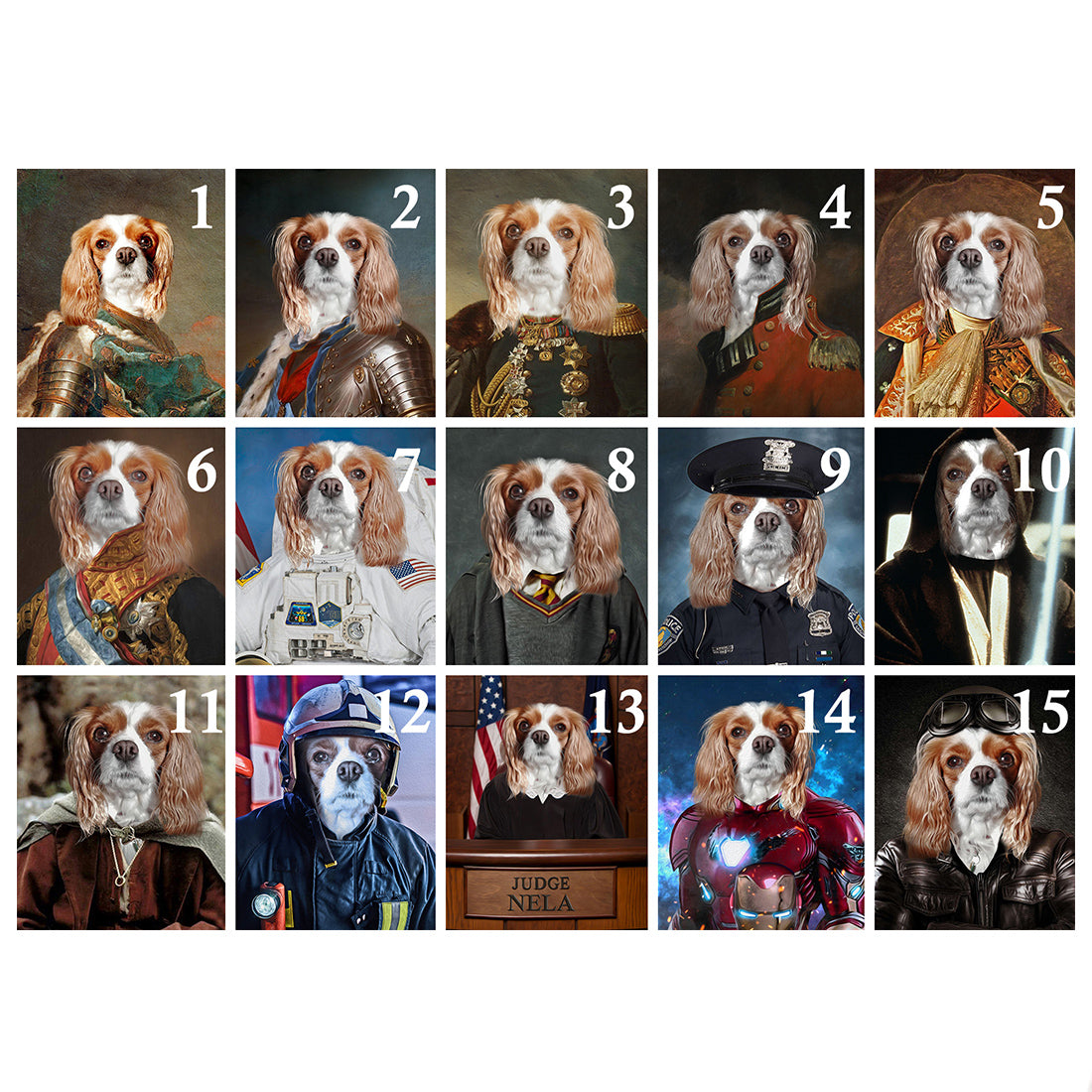 Obraz z fotky na plátne Generál_1 – 40x50 cm | rôzne uniformy