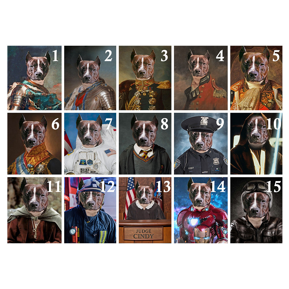 Obraz z fotky na plátne Generál_4 – 75x90 cm | rôzne uniformy