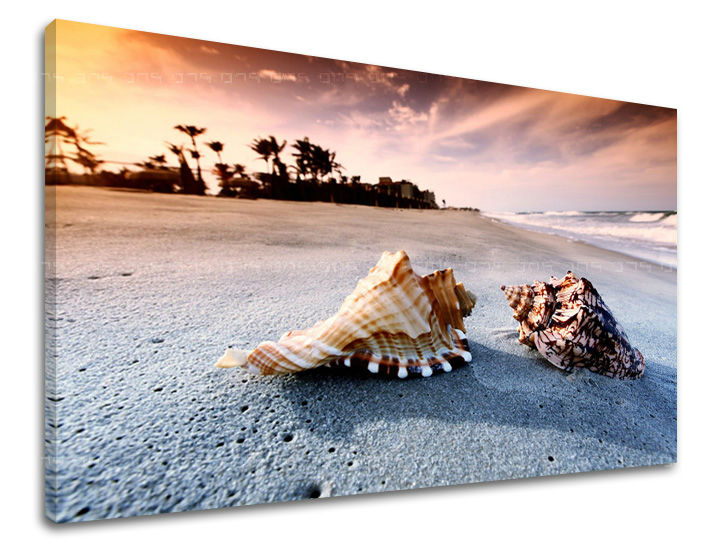 XOBPL024E11-40x60-24h.jpg