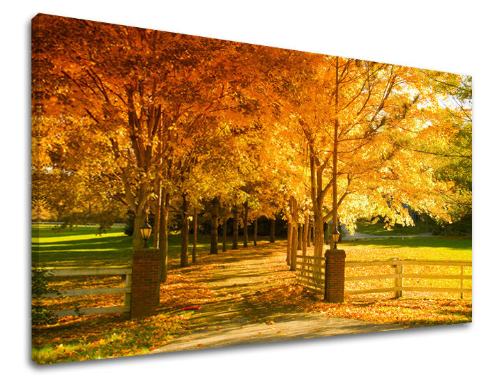 XOBST020E11-80x120-24h.jpg