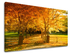 XOBST020E11-80x120-24h.jpg