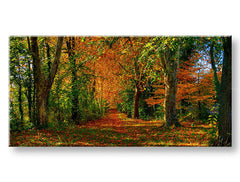 XOBST033E13-60x120-24h-1.jpg