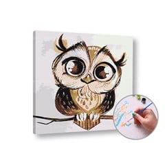 Maľovanie podľa čísel SOVA – nízka náročnosť | rôzne rozmery a možnosť rámovania