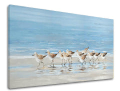 Obraz na plátne ČAJKY | rôzne rozmery